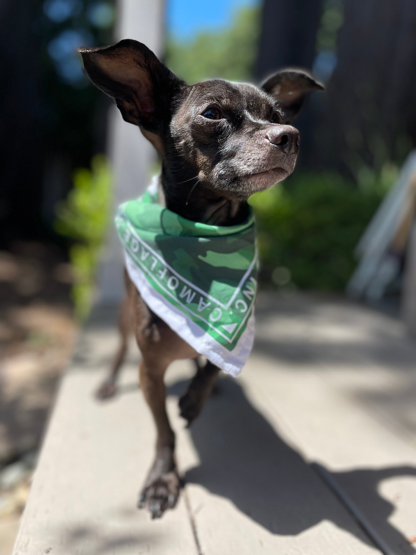 "Camouflage Sabotage -Biggie" Bandana